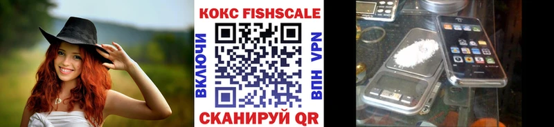Кокаин Fish Scale  Купить закладки  Велиж 
