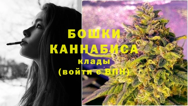хмурый Карпинск