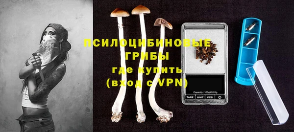 прущий лед Касимов