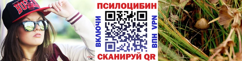 Купить где  Велиж  Псилоцибиновые грибы Magic Shrooms 
